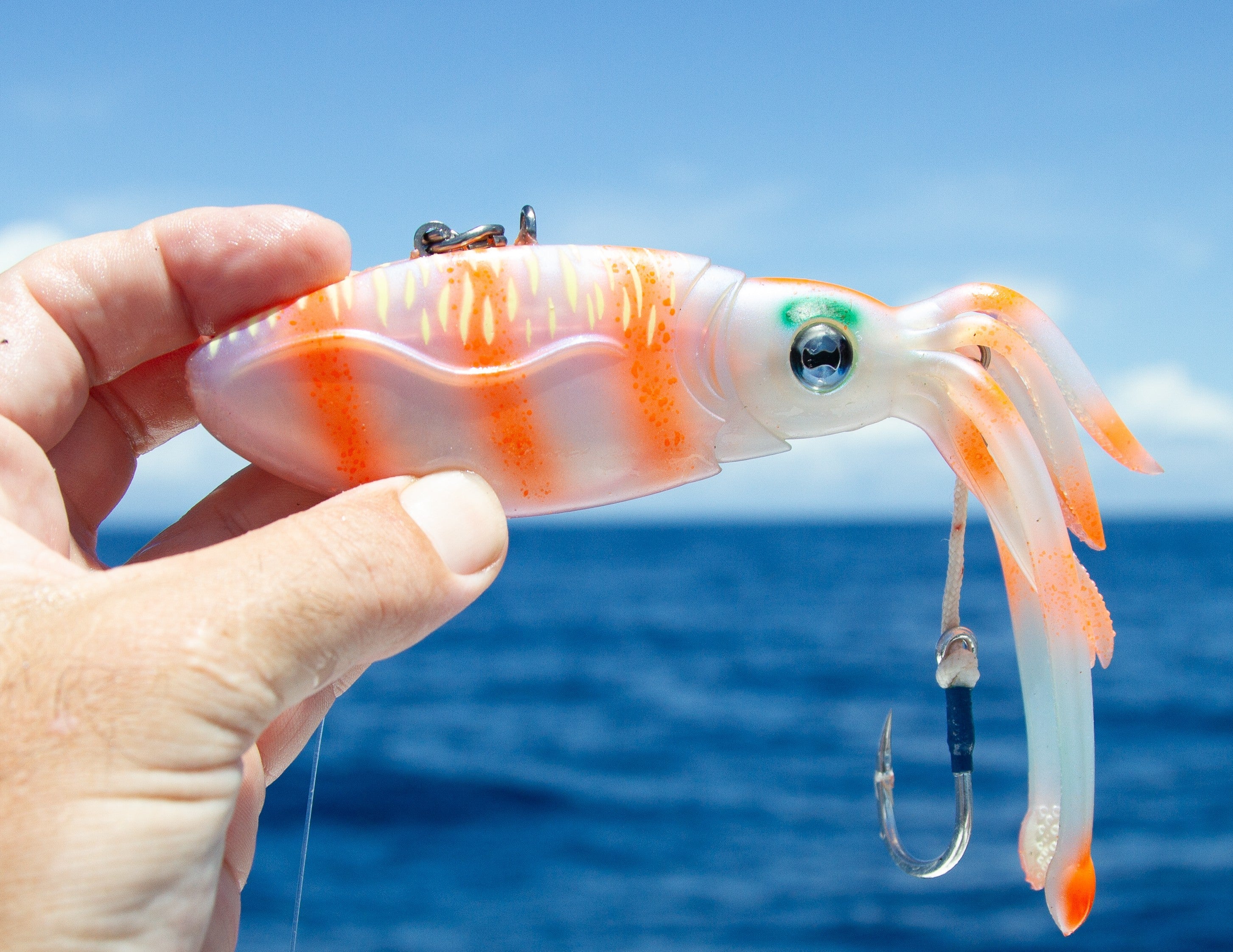 design fishing lures Fly Print The unique folding wing design allows the wings to fold back when cast for extra distance or when fighting big Tuna and Marlin for reduced drag through the water Personalized Fishing Lures - Rapala