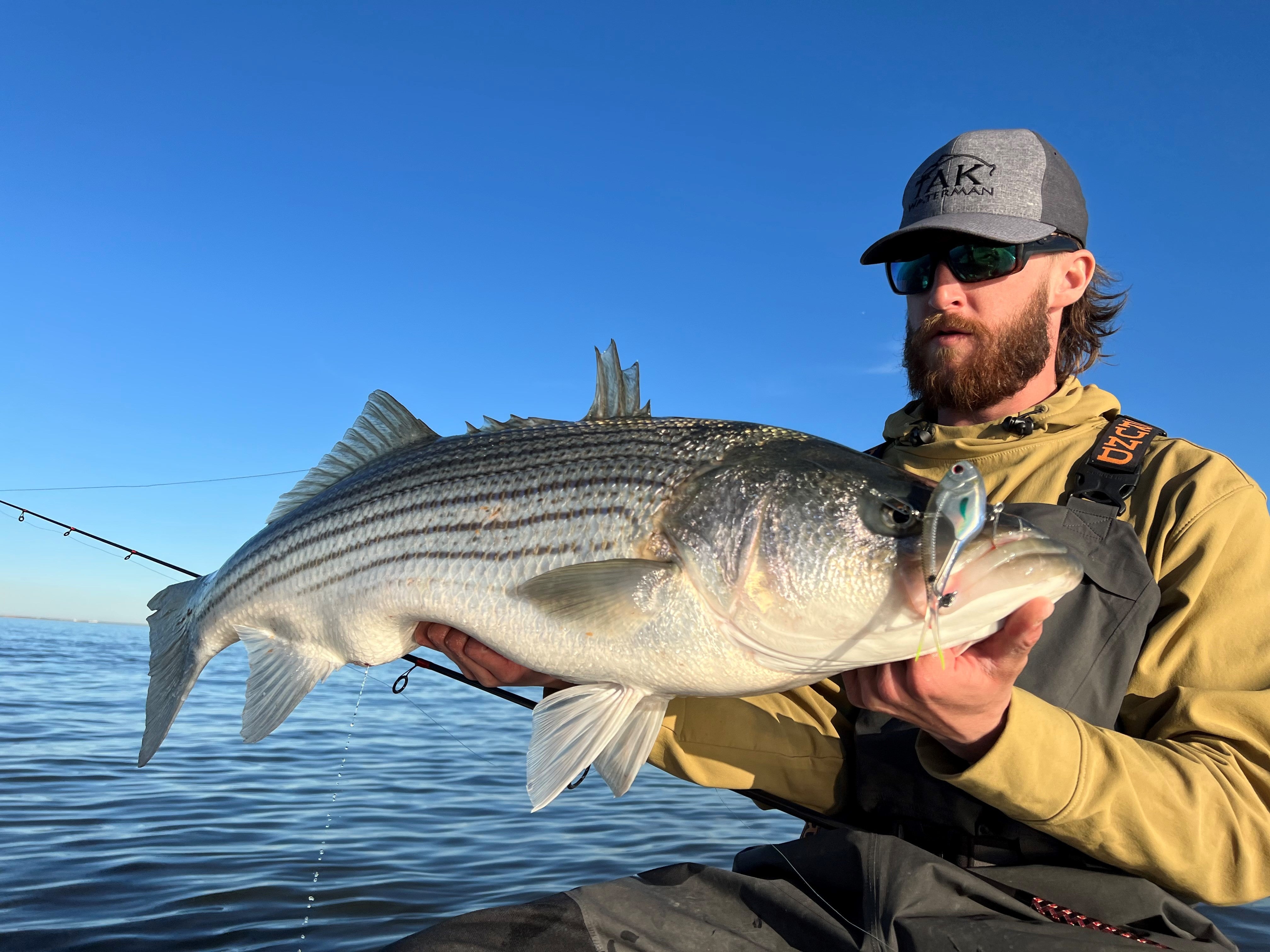 Striper Fishing Secrets and Techniques for live bait. Striped Bass