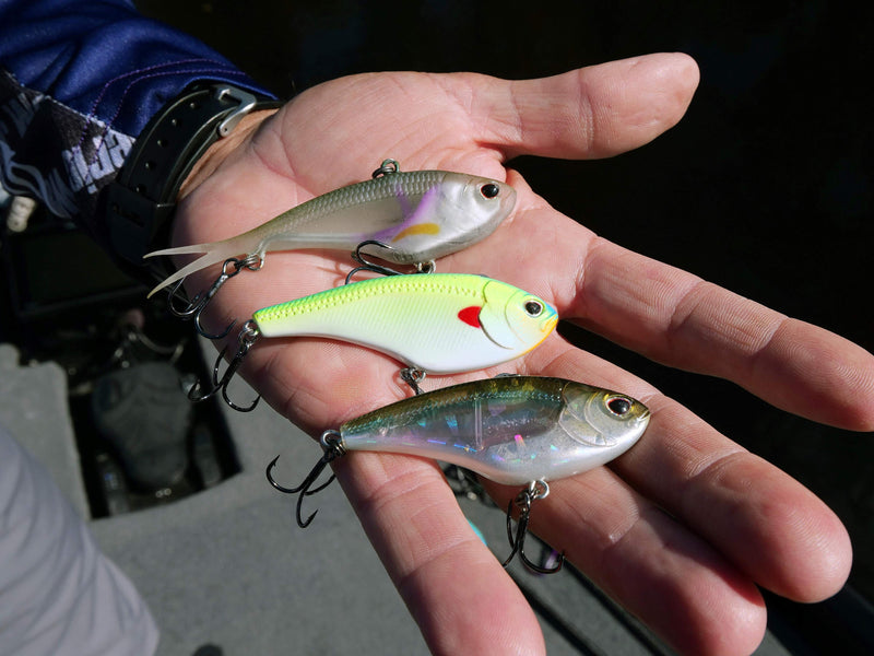Lipless Crankbait | #1 Rated Crankbaits for Bass | Nomad Tackle Lipless Crankbait | #1 Rated Crankbaits for Bass | Nomad Tackle