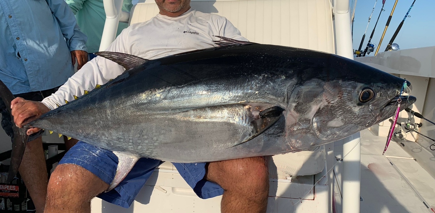 Bluefin Tuna Jigs