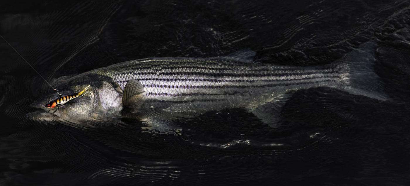 Vibes & Jigs For Striped Bass