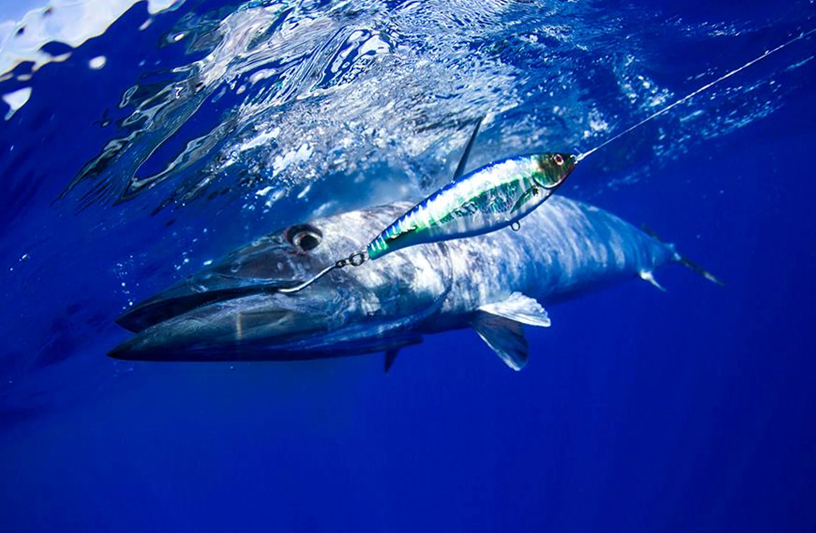 Wahoo Lures for Fishing & Trolling