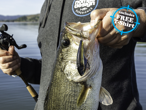 Ultimate Bass Bundle