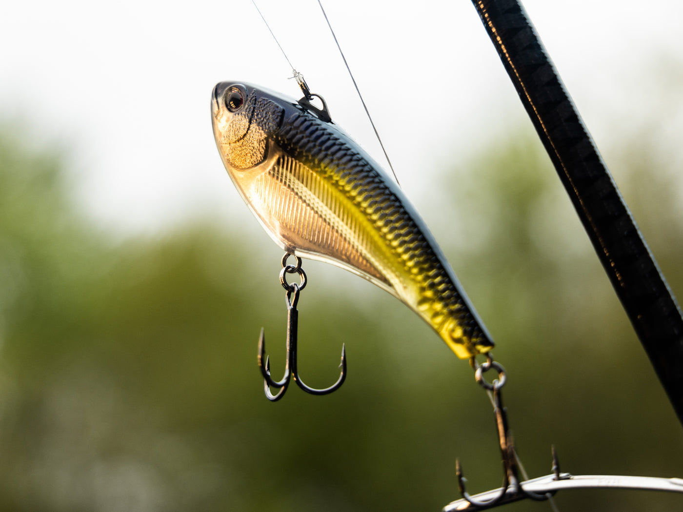 Tactical Bassin Talks Spring Lipless Crankbaits