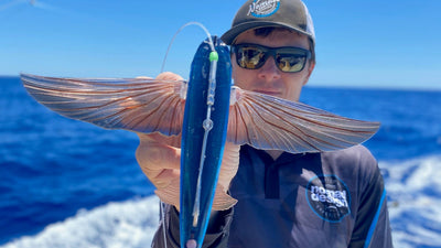 Tips and Techniques - Slipstream Flying Fish