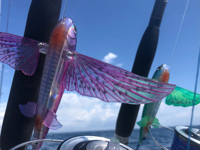 How to change wings on the Slipstream Flying fish
