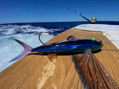 Rigging Options for the Slipstream Flying Fish