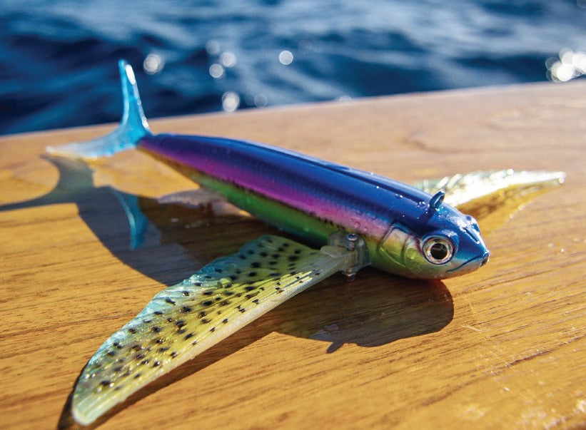 Official Release of the Slipstream Flying Fish in USA