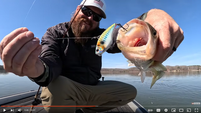 Swimtrex Max - Hot Spring Bass Bite