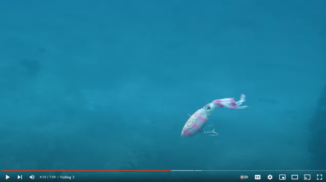 Trolling with the XL SQUIDTREX™