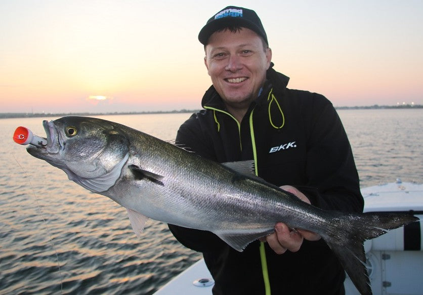 From The Great Barrier Reef to New York for Trophy Fish