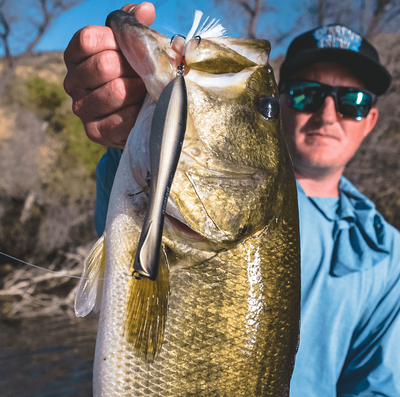 Nomad Design Dartwing Topwater Lure