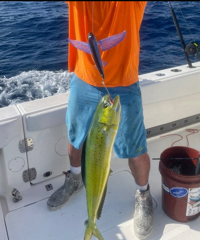 Watch Mahi Attack the Slipstream Flying Fish 140