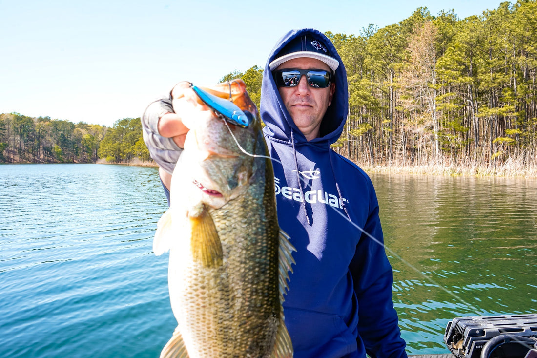 Catch Winter Bass with Nomad Design Lipless Crankbaits