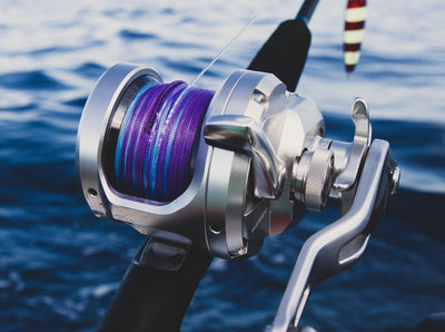 What Nomad Design Line Should I Choose?