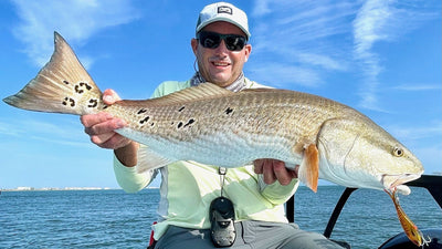 Break Down the Basics of Redfish Habits, Habitat, and Spawn