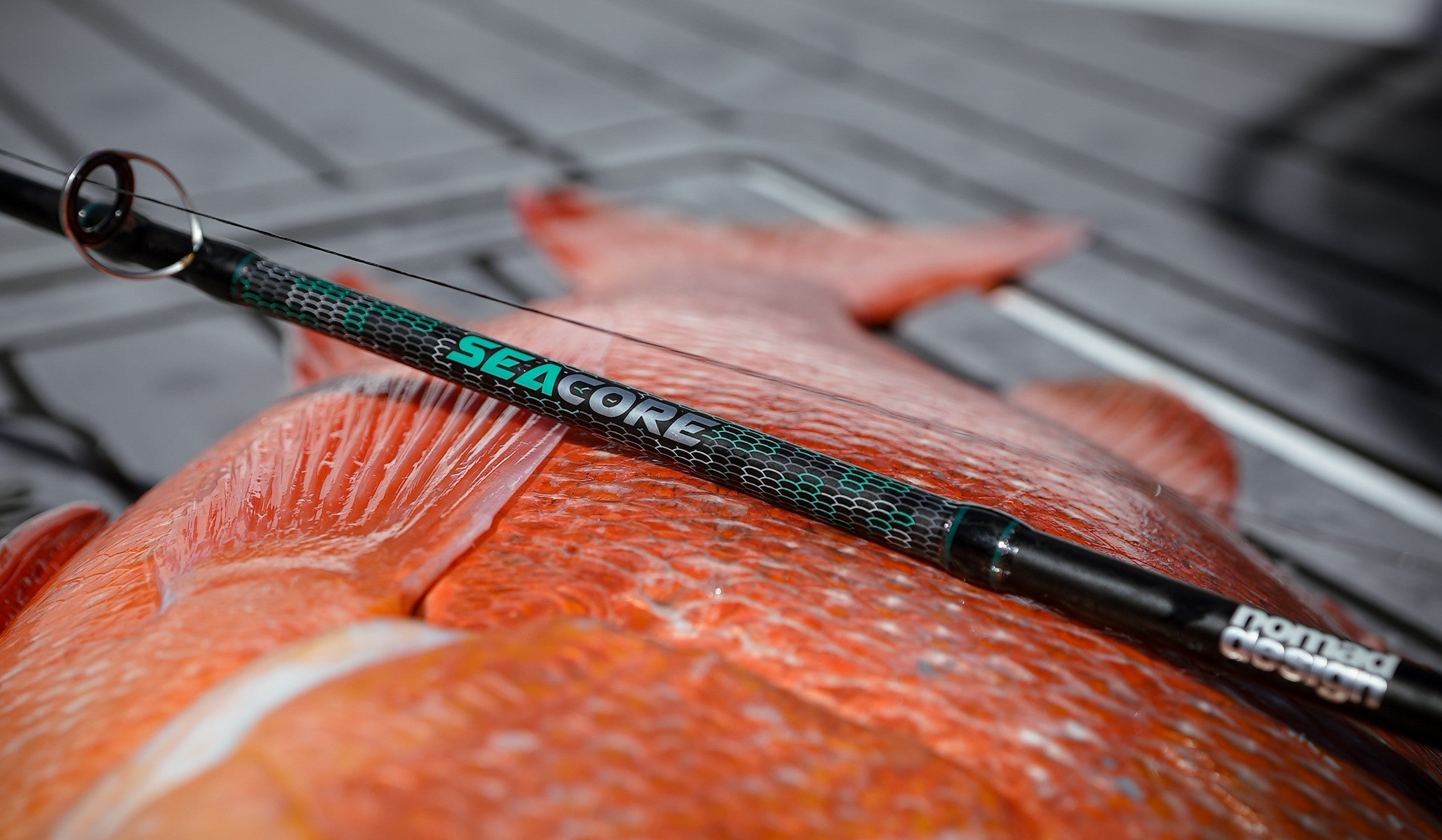 Nomad Design Seacore Rods Range
