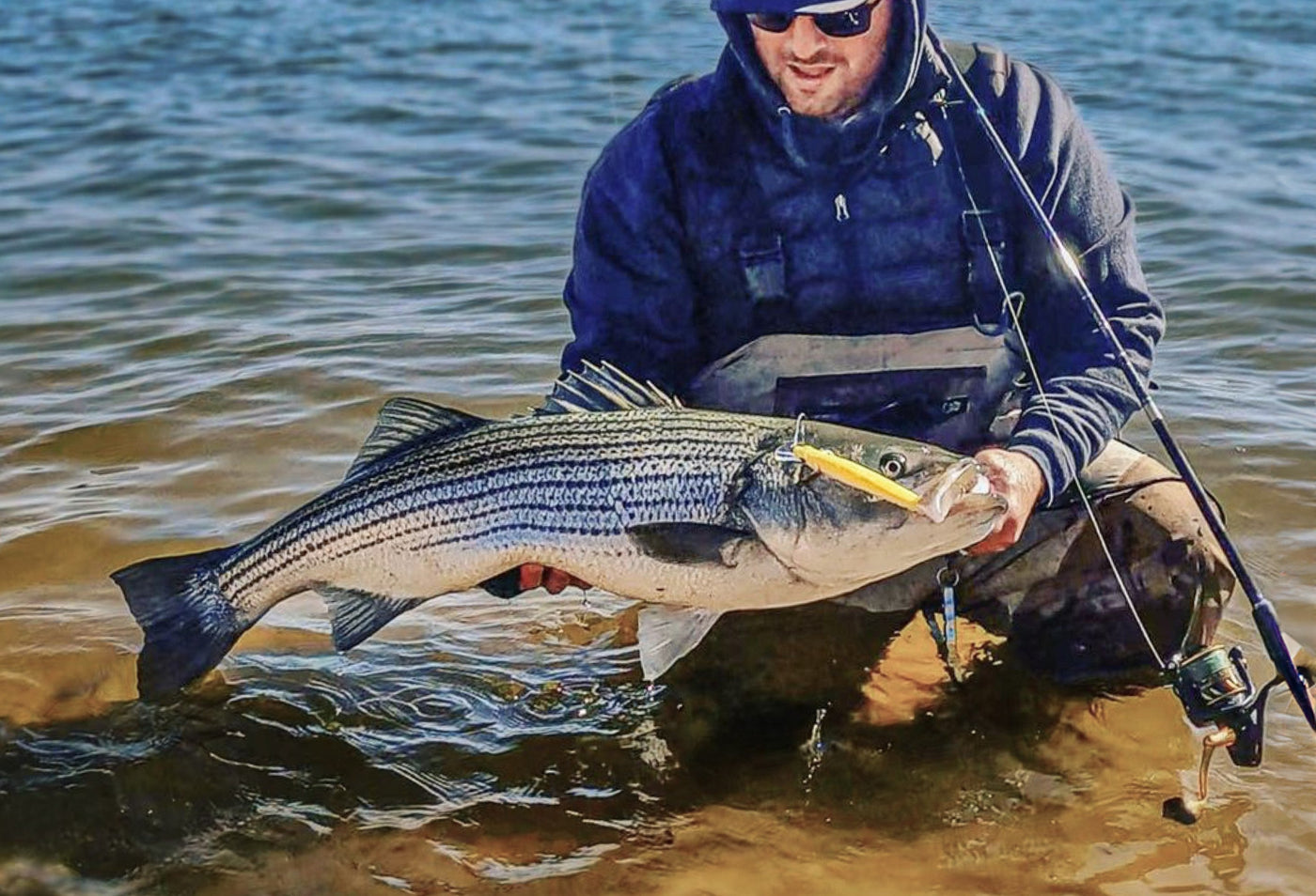 How To Fish The Nomad Design Shikari Jerkbait