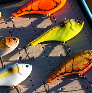 Bass Elite Pro Greg DiPalma Breaks Down Nomad Swimtrex