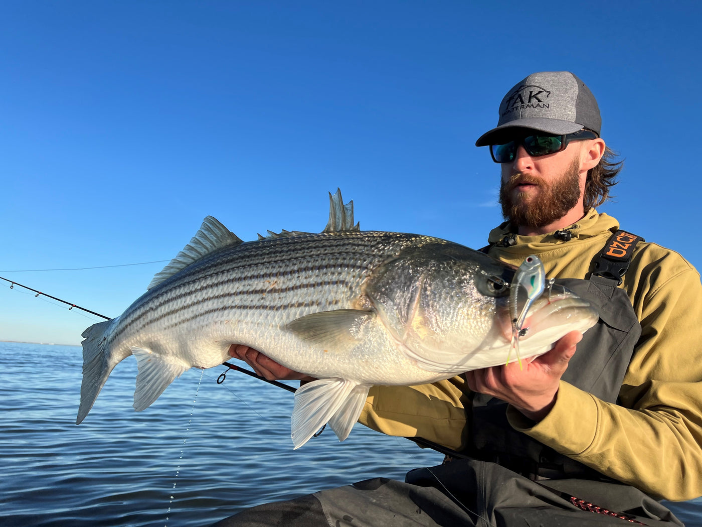Catching Stripers with Sea Clams: Striped Bass Fishing Techniques