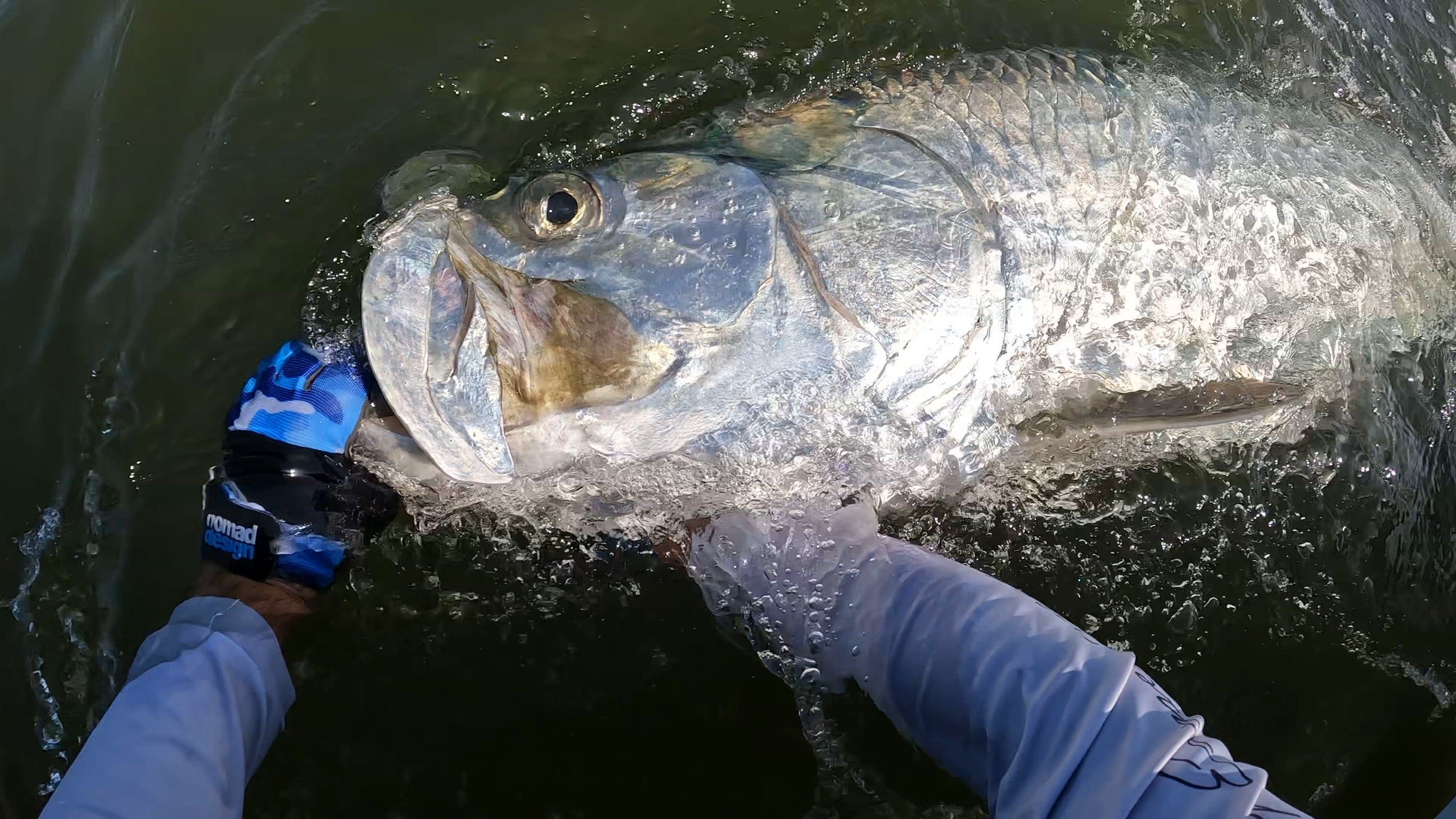 Tarpon Lures
