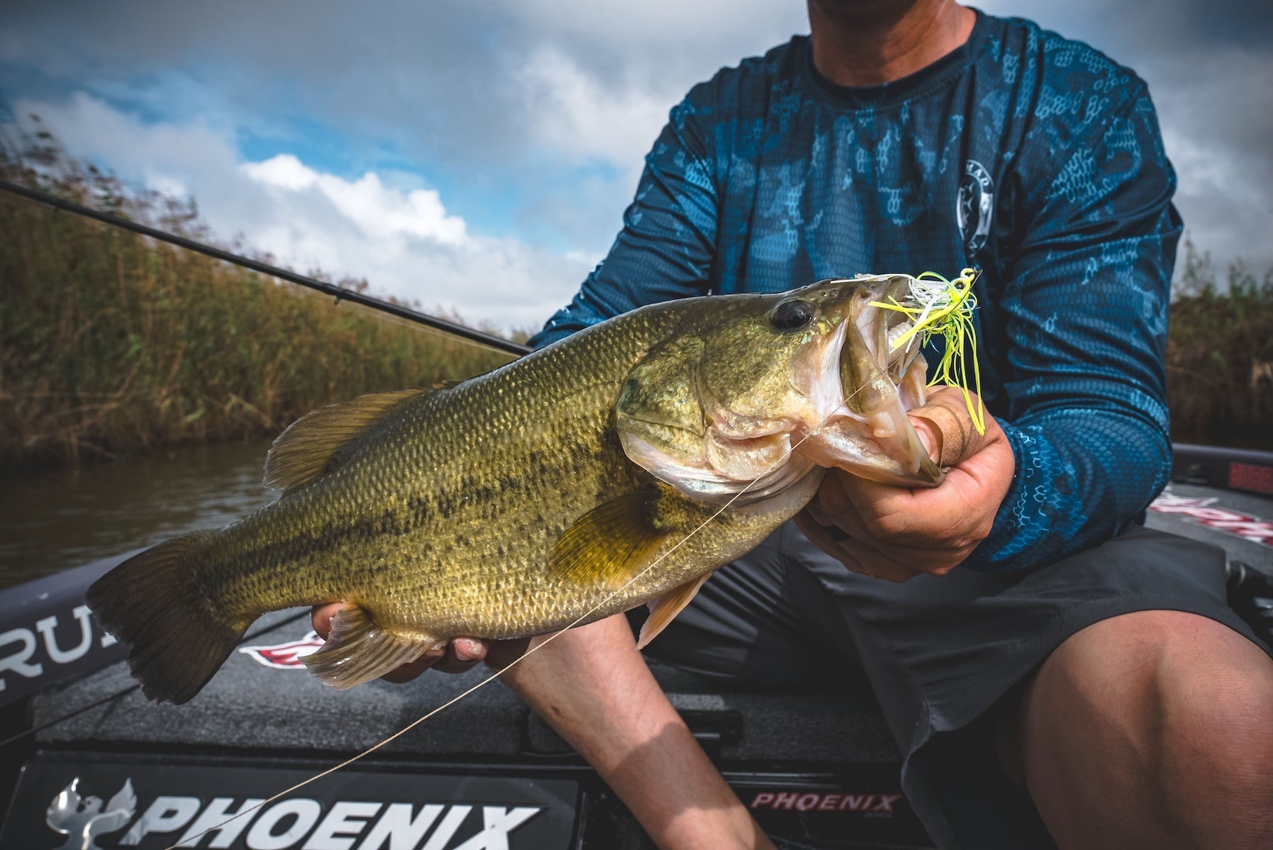 Freshwater Bundles