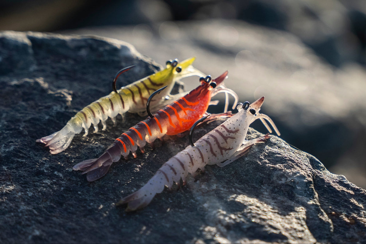 Shrimp Collection