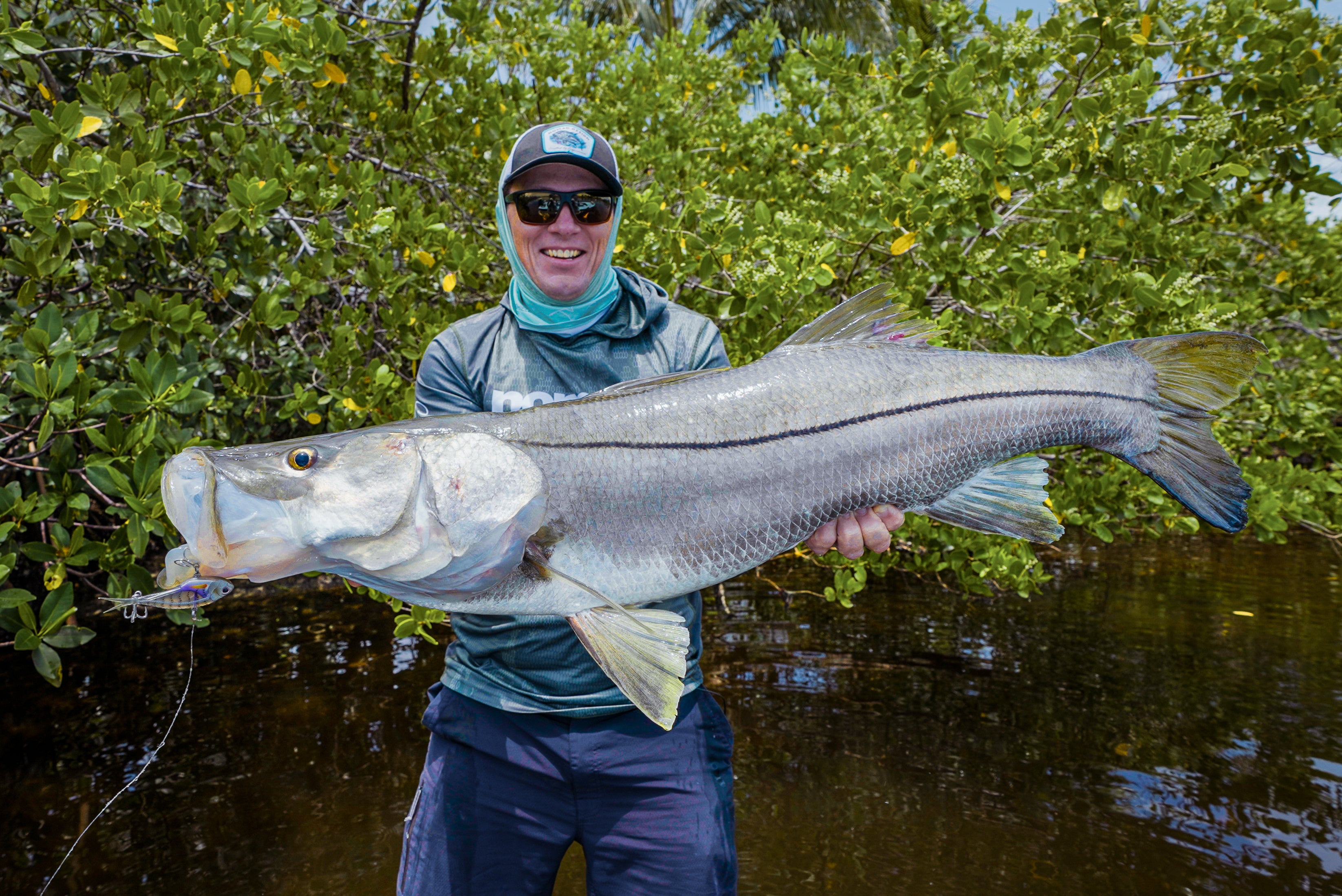 Snook – Nomad Tackle