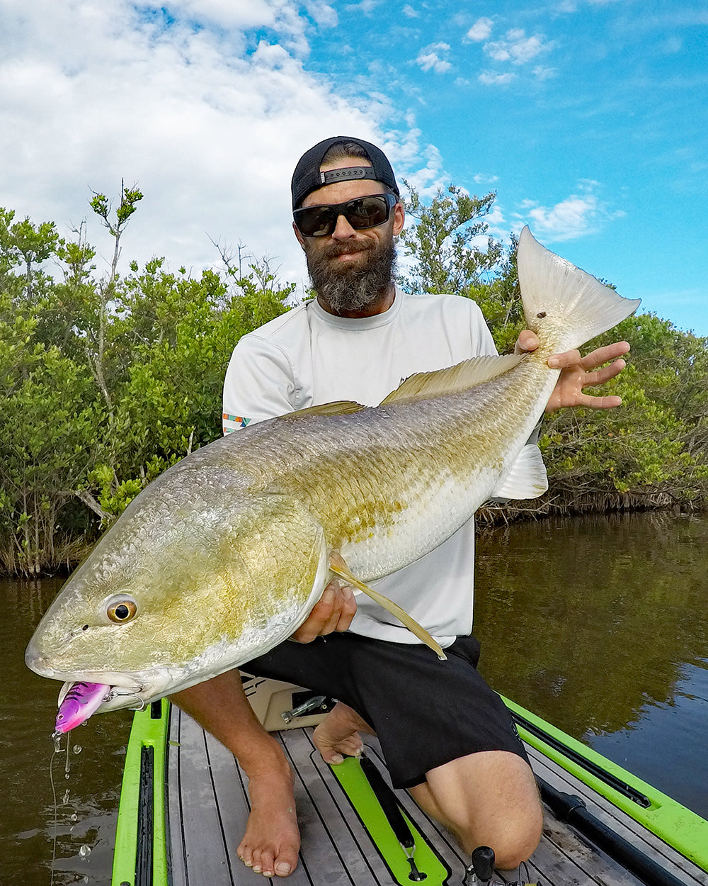 Ultimate Redfish Collection