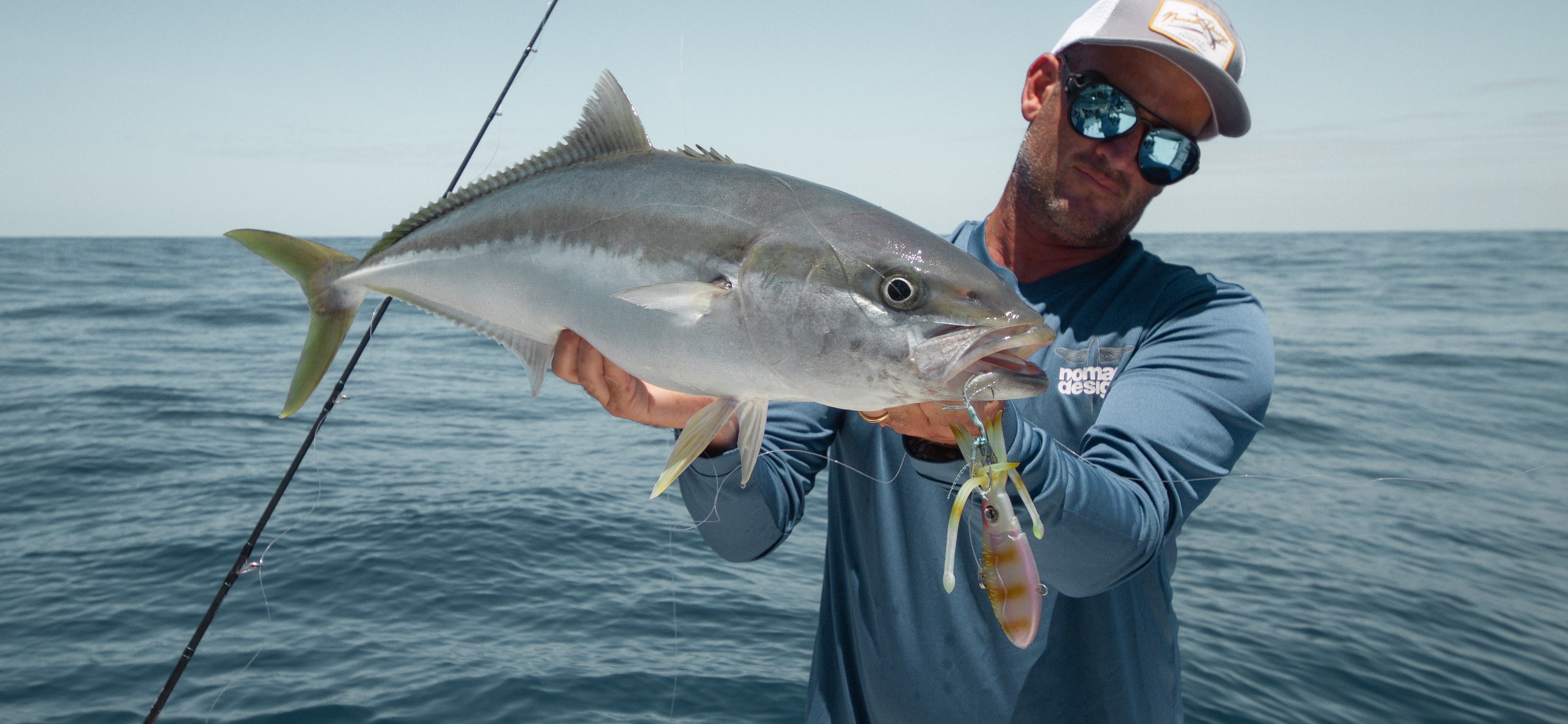 Yellowtail