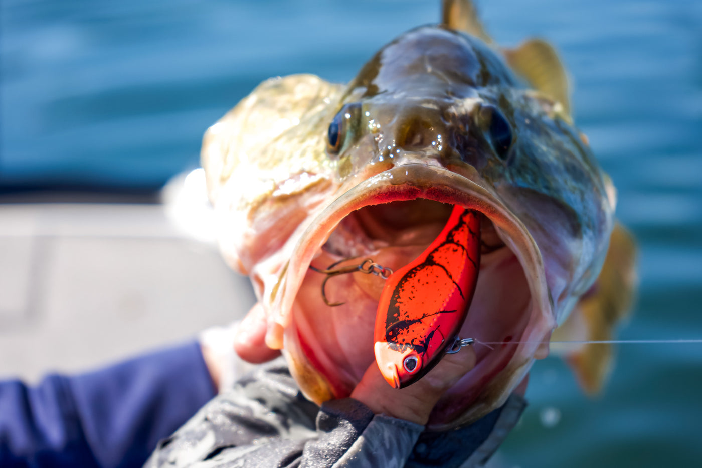 Craw Range