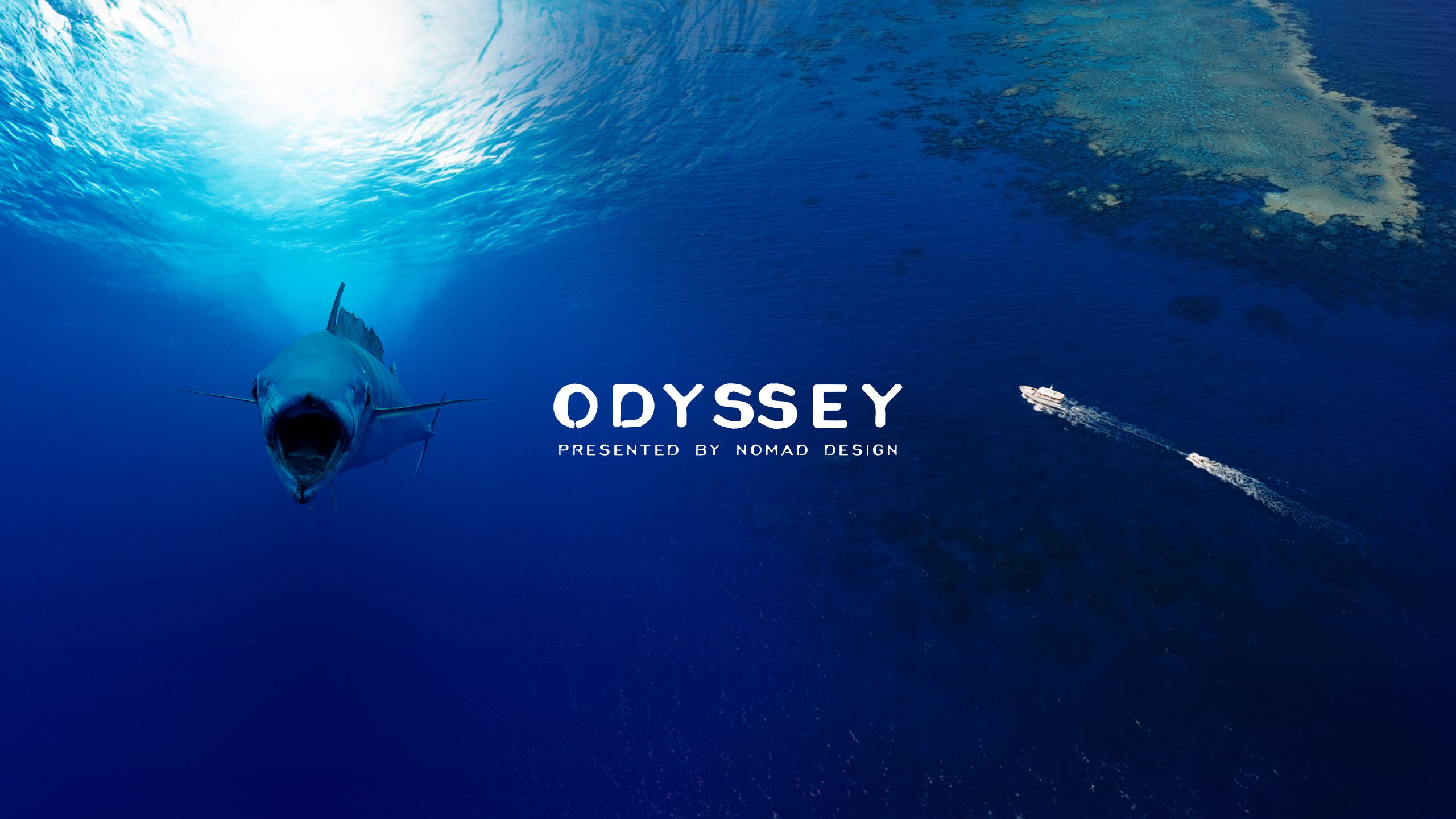 The Odyssey Collection