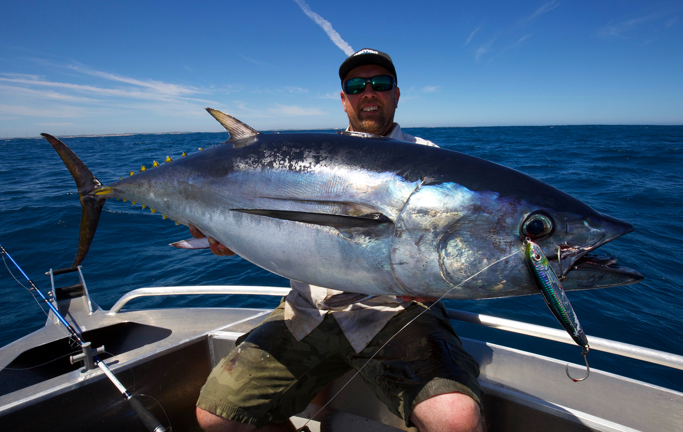 Bluefin Tuna Lures for Fishing & Trolling
