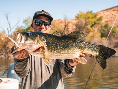 Freshwater Sampler Bundle