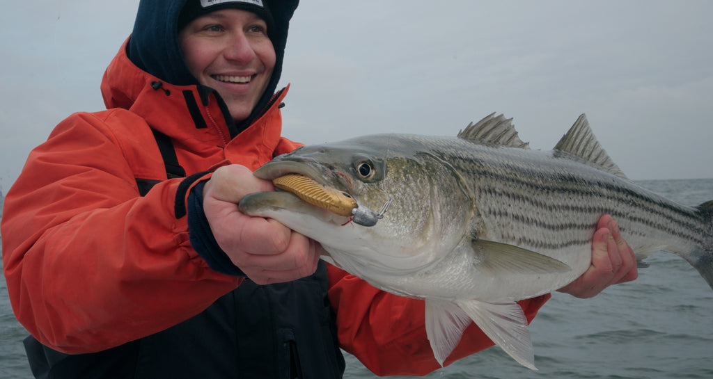 Striped Bass Inshore Bundle