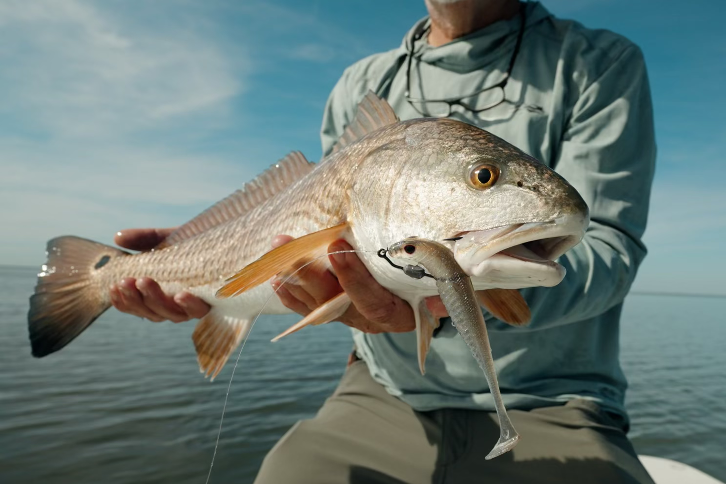 Specter Fish Nomad Design Live Ops SW Spectre Minnow – Nomad Tackle