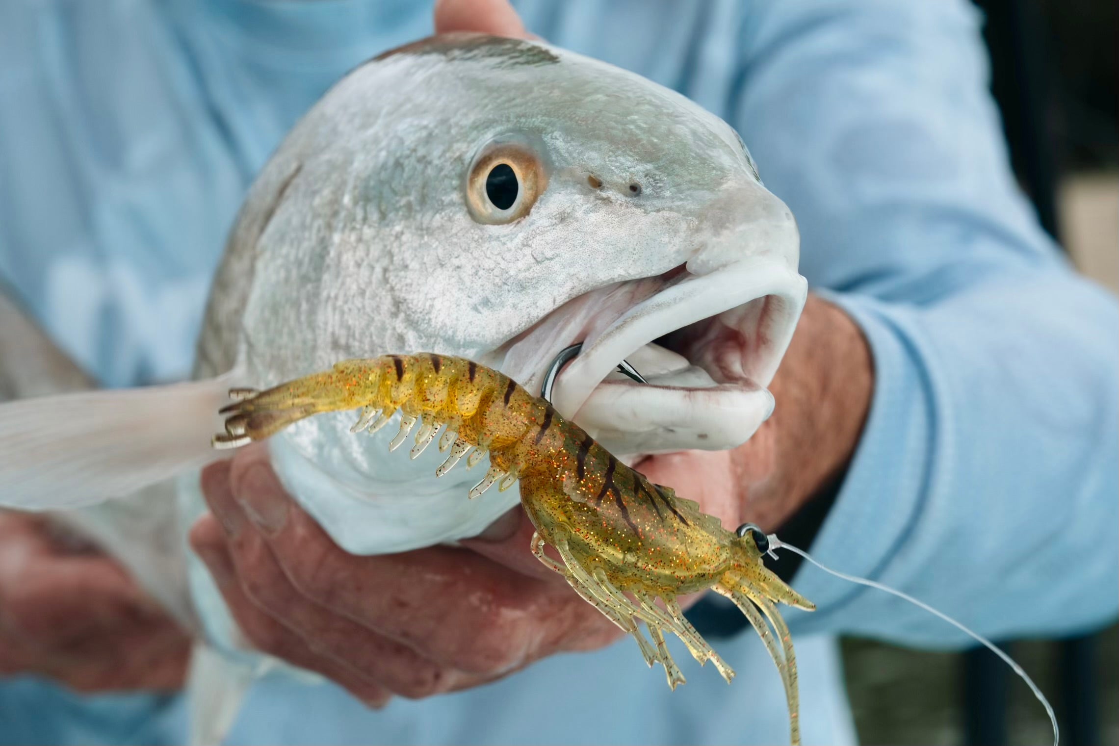 Nomad Design Inshore Redfish Bundle