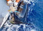 lifestyle