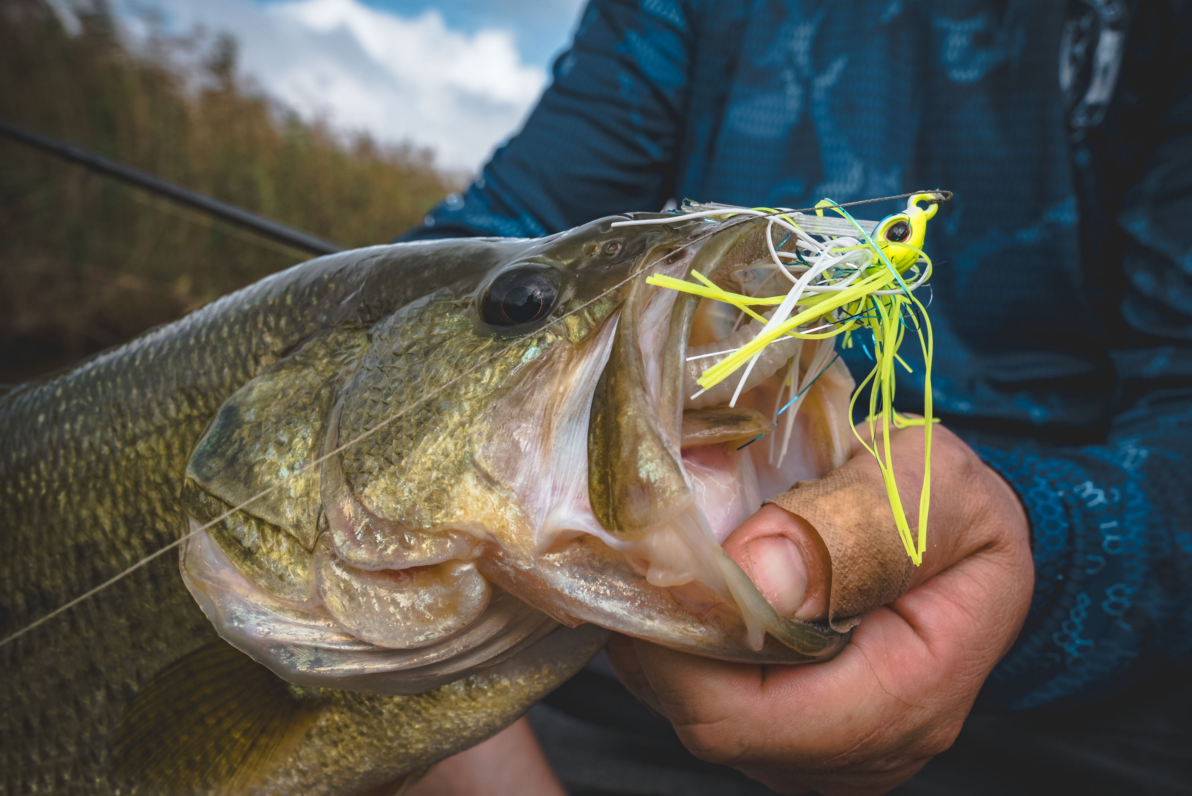 Ultimate Bass Bundle