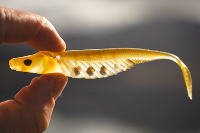 Cobra Shad 4.5" Live Ops - 4 Pack - Soft Plastic Swimbaits