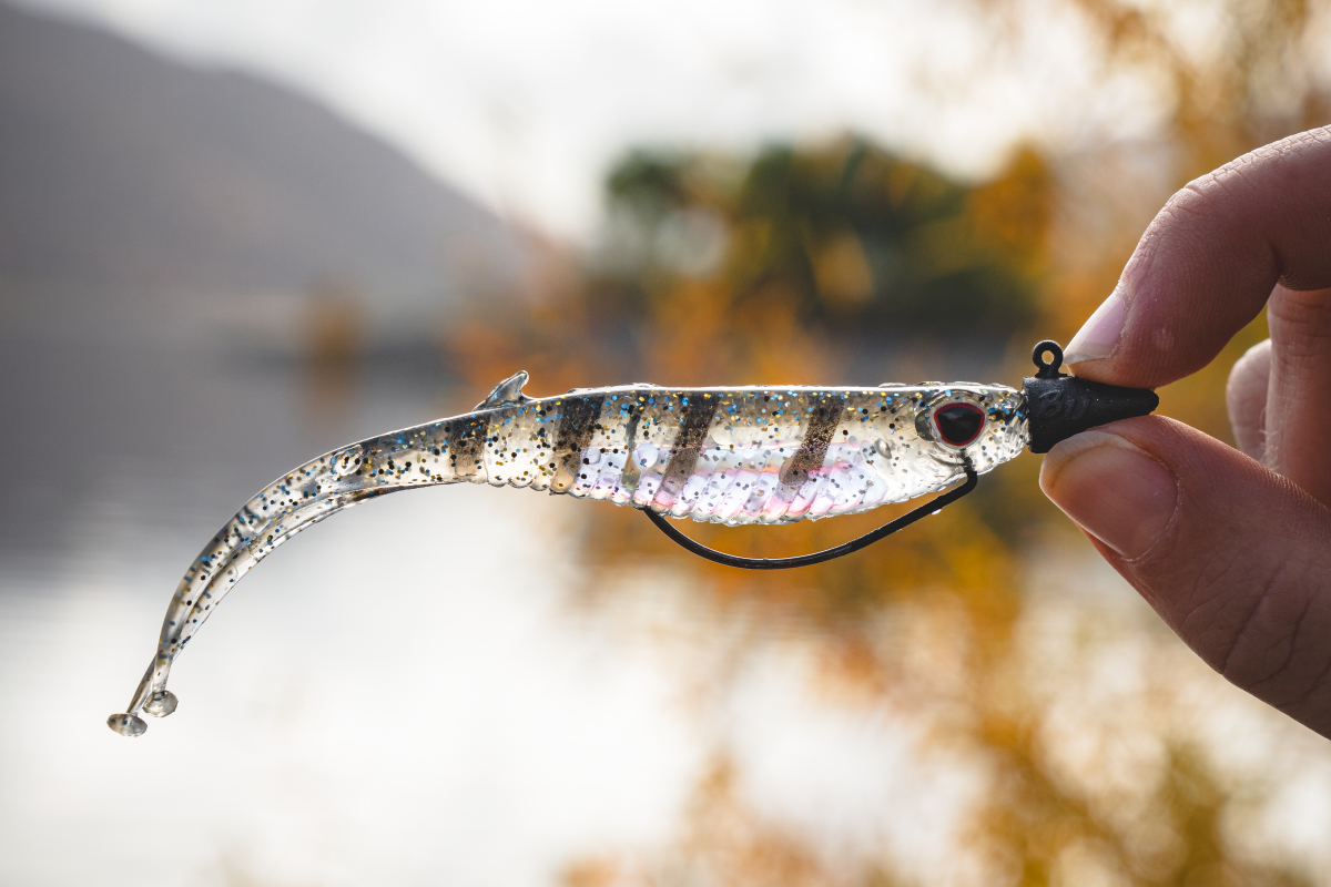 lifestyle