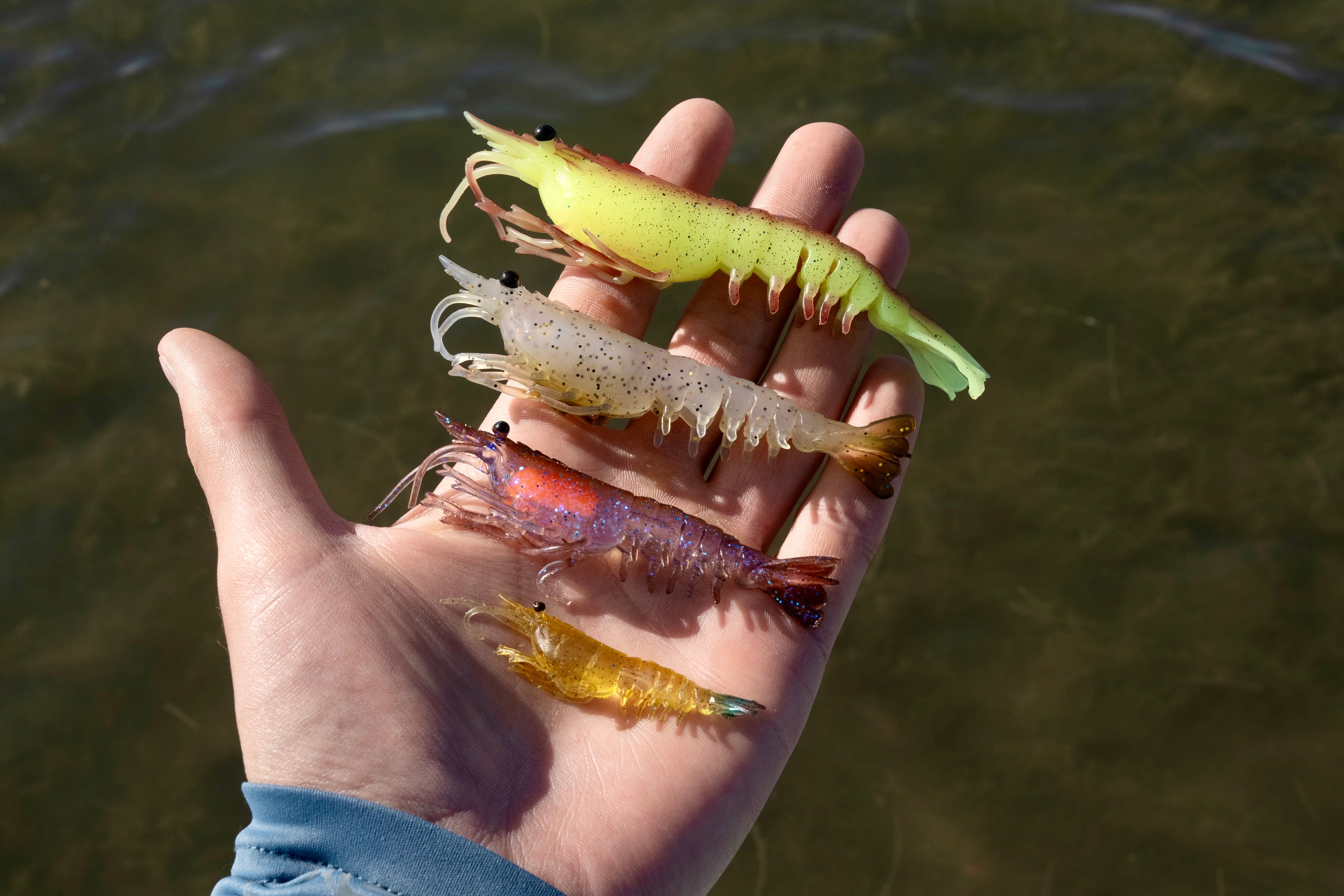 Nomad Design Live Ops SW Switcher Shrimp – Nomad Tackle