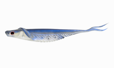 Cobra Shad 4.5" Live Ops - 4 Pack - Soft Plastic Swimbaits