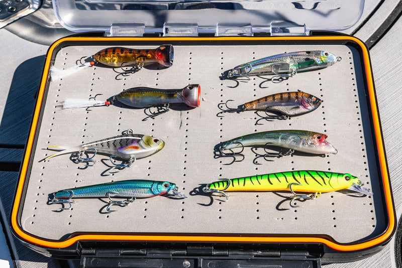 Wahoo – Nomad Tackle