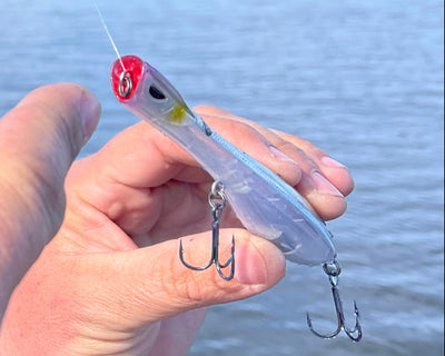 Dartwing 125 Topwater 5" - 5/8oz