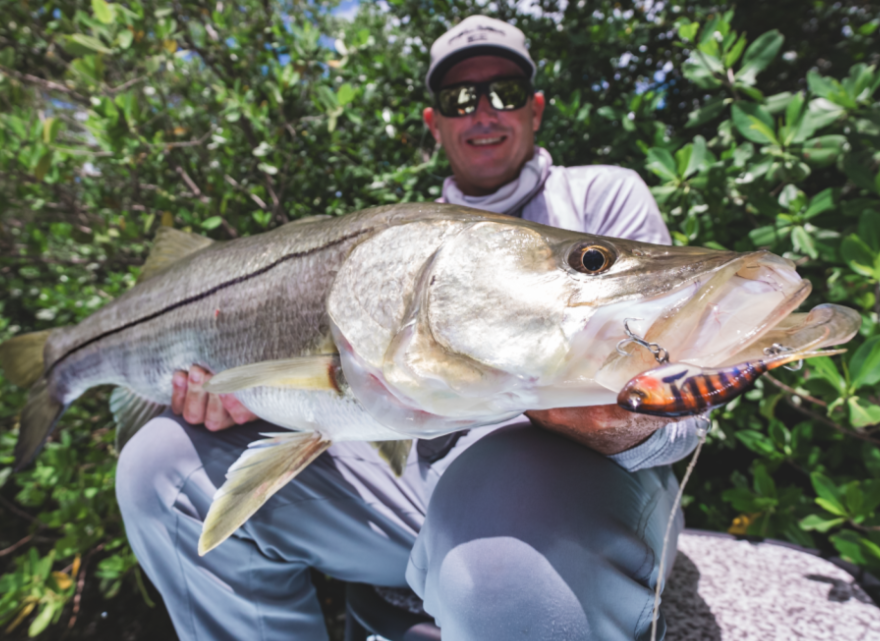 best lures for fishing snook intercoastal deerfield florida Nomad Tackle Inshore Snook Lures Bundle