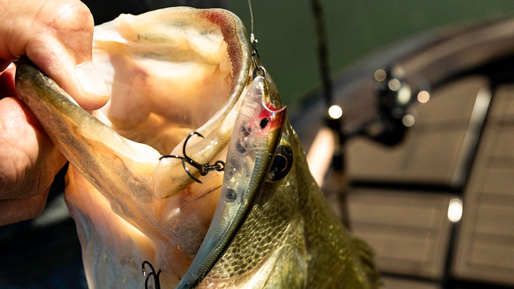 Nomad Tackle Ultimate Bass Lures Bundle