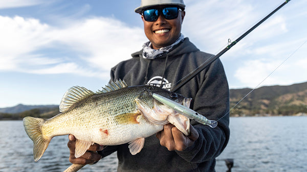 Ultimate Bass Bundle