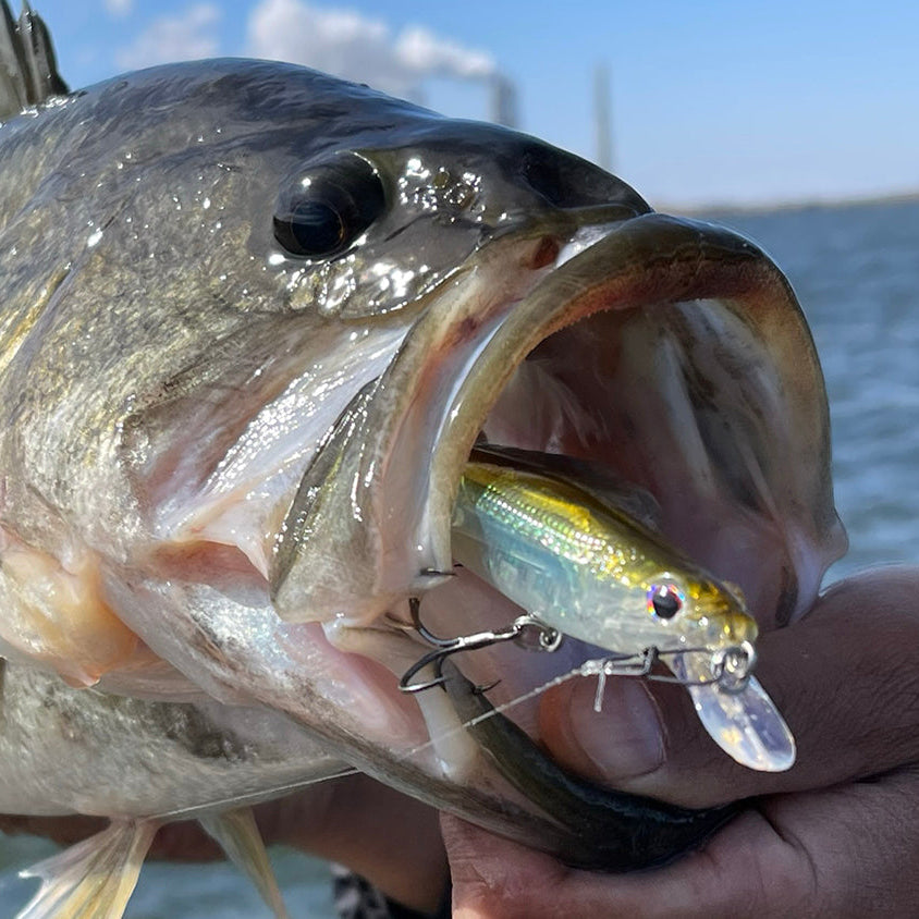 american made bass lures Nomad Tackle Ultimate Bundle Manns Bait Company BABY WAKER Fishing Lure in WINTER CRAW (Crawdad The Best Bass Fishing Lures