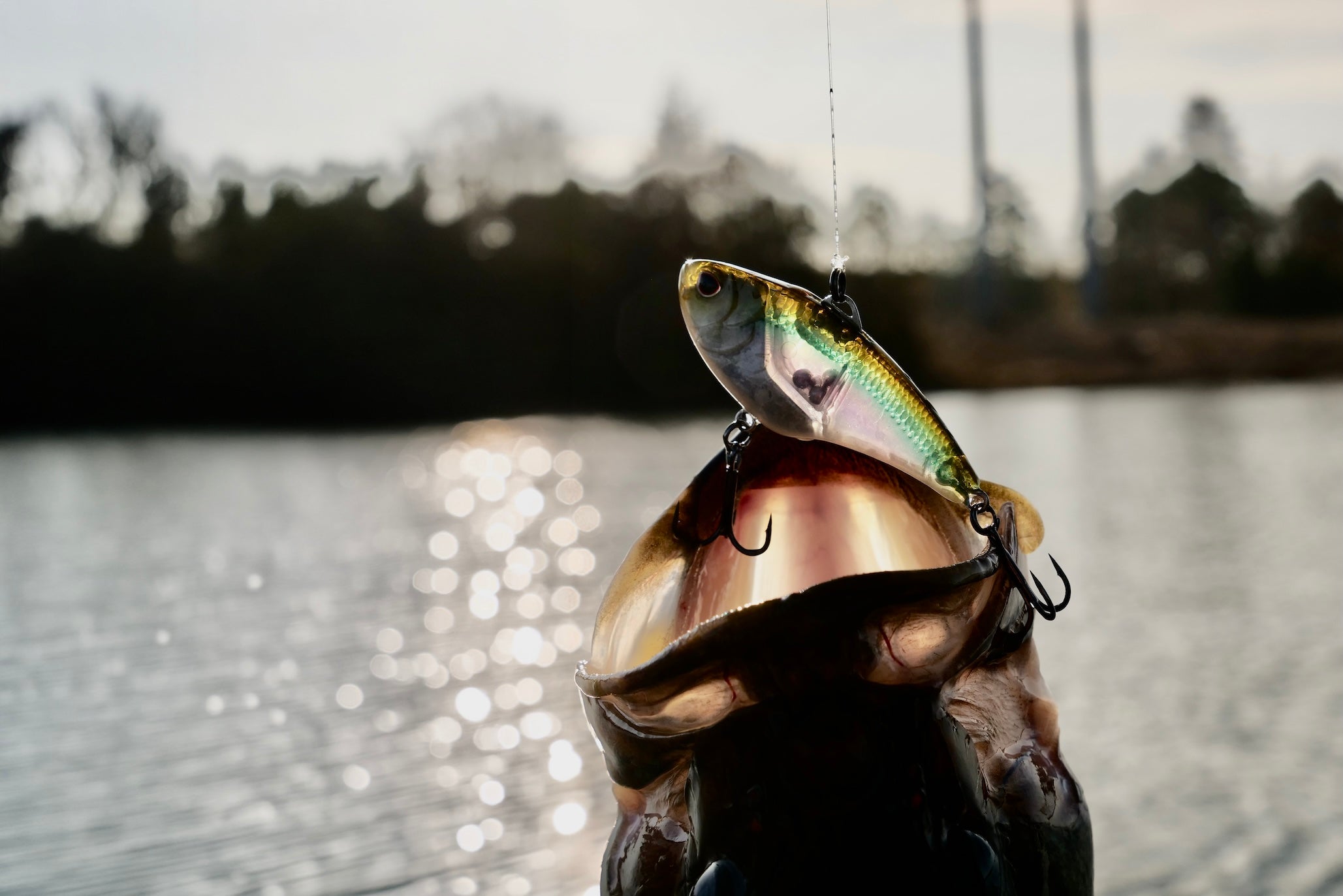 Nomad Tackle PCFW-SWIMTREX MAX